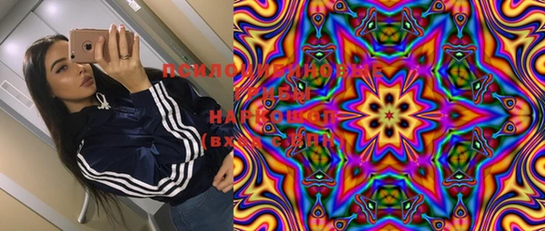 дмт Осинники
